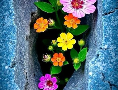 Invataturile Parintelui Ignatie (19 noiembrie 2025)