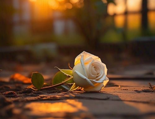 Invataturile Parintelui Ignatie (9 decembrie 2025)