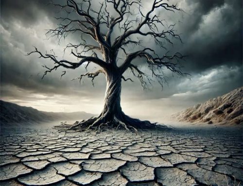 Invataturile Parintelui Ignatie (9 decembrie 2025)