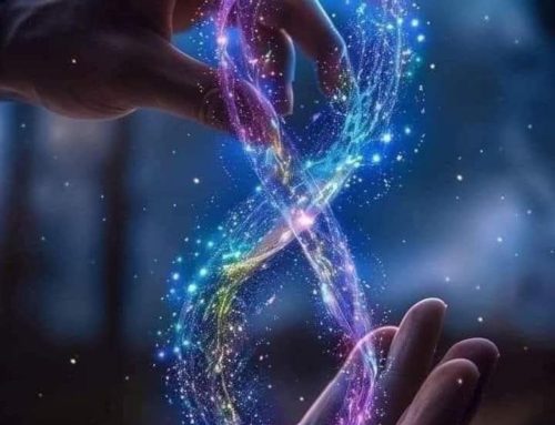 Invataturile Parintelui Ignatie (19 februarie 2026)