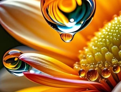 Invataturile Parintelui Ignatie (14 martie 2026)